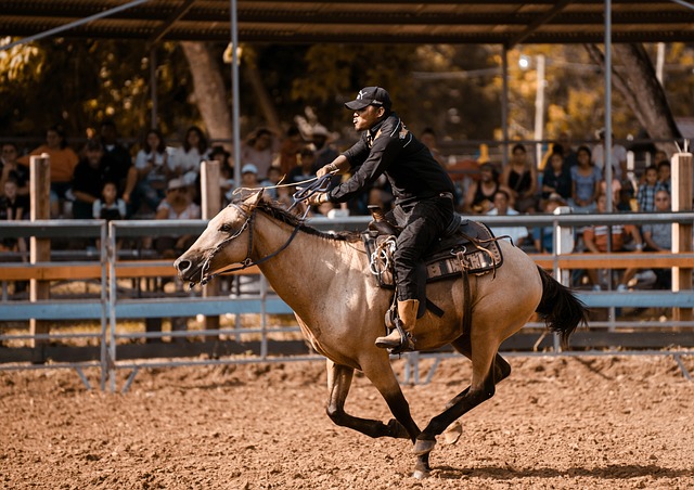 Wedstrijden & Evenementen